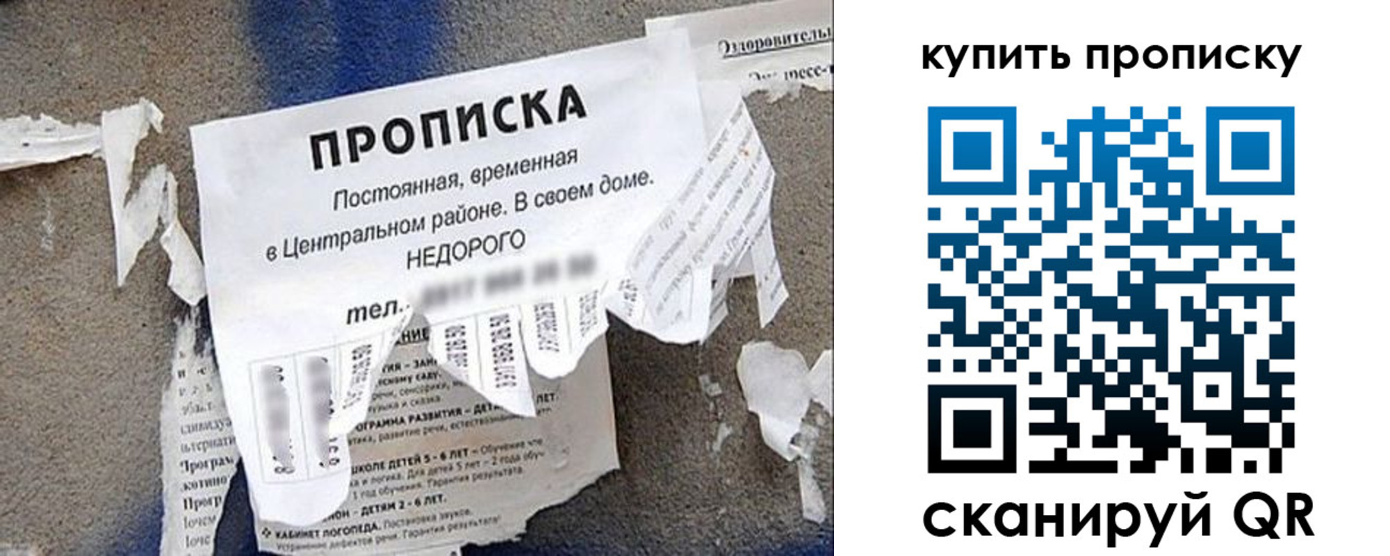 найти адрес прописки в Сольцах